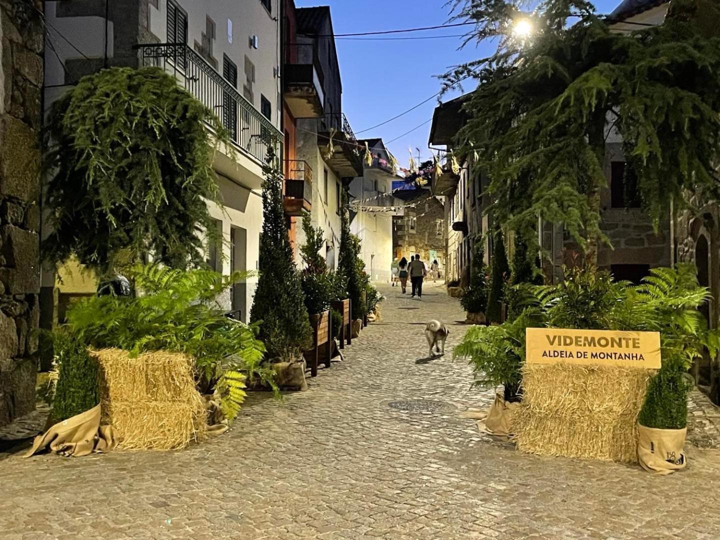 Casa De Xisto Ti Lucilia * Videmonte